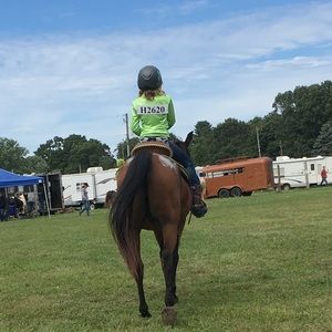 Meet your Posher, Molly